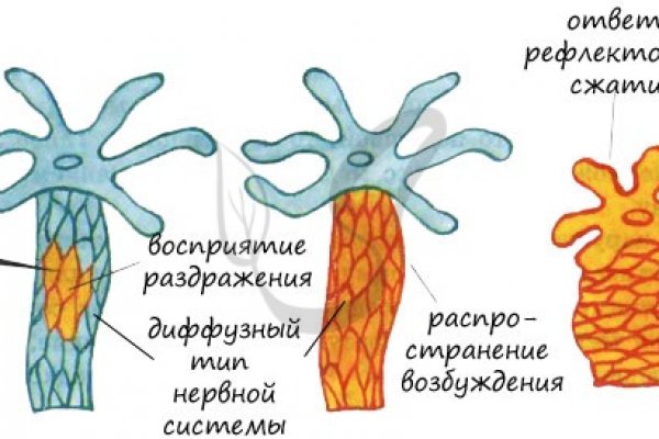 Создатель меги сайта