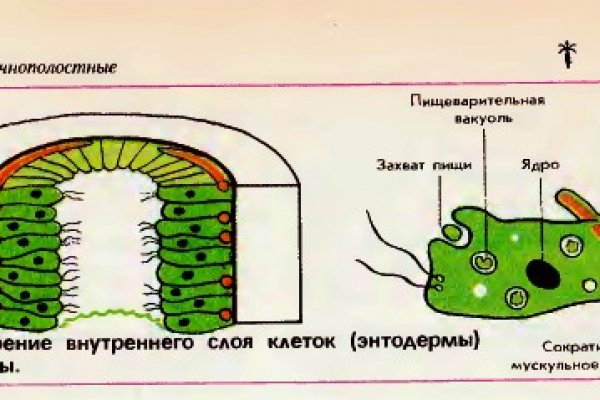 Правильная ссылка на kraken онион