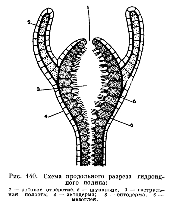 Kraken зеркало рабочее сегодня kraken6.at kraken7.at kraken8.at